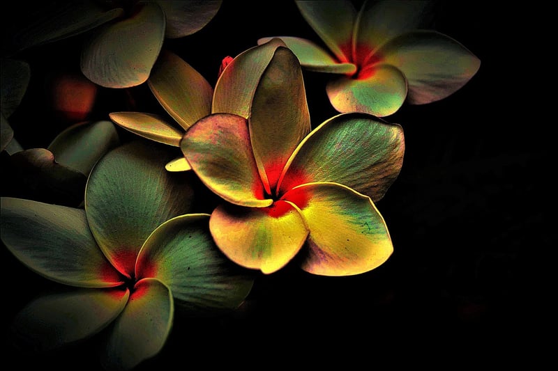 Nature-inspired artwork